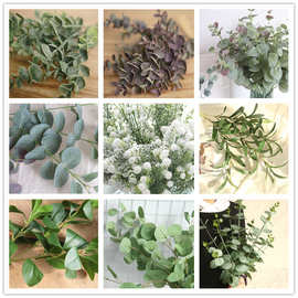 仿真绿色黄色植物金钱叶散尾葵文化办公仿真园艺仿真植物纯手工LD