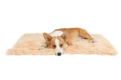 Fleece Pet Mat Double Layer Pet Blanket Golden Retriever Small Medium Large Dog Mat Cat Blanket