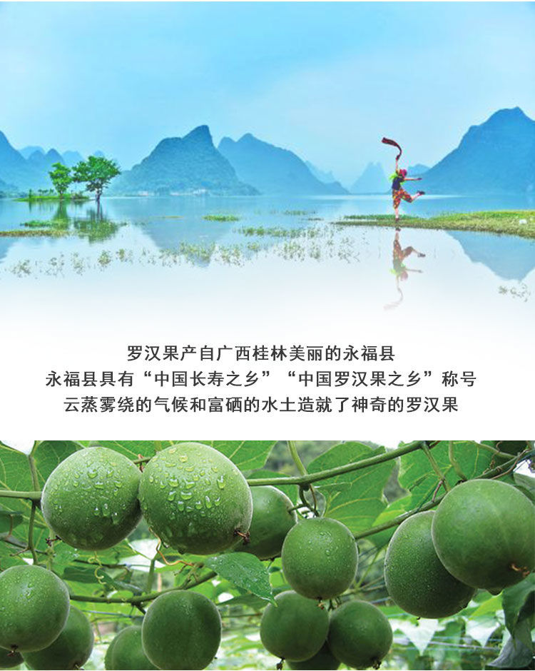 Luo Han Guo Dried Fruit (Siraitia grosvenorii) — Freeze-Dried Monk Fruit from Guangxi overview