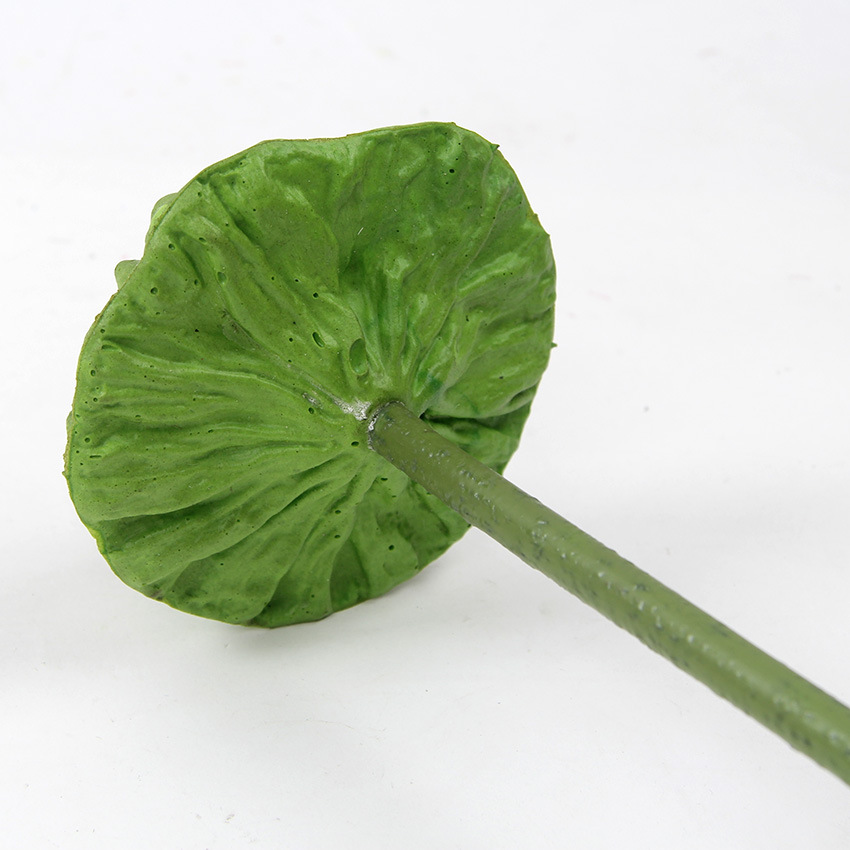 单支莲蓬大 4.jpg