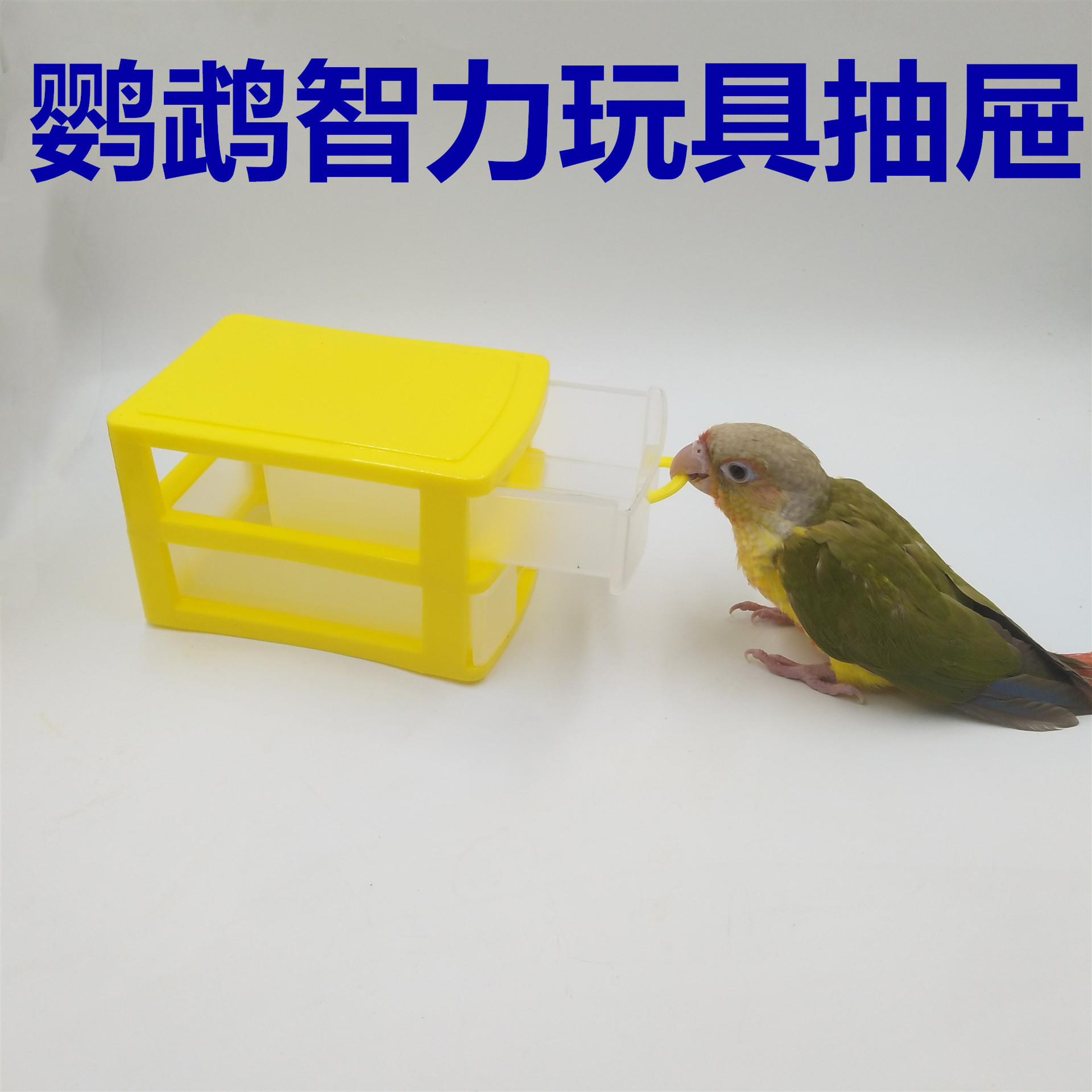 Small intellectual toy for training