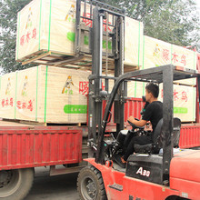 �F�������B��  ��ɼľ������x���ɫ�R���׌�о���Ⱦ����_�z