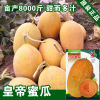 Cantaloupe seeds Hantarin Gourd Gourd Seed Ganmeli Gourd Gourd Vegetable Vegetable Vegetable Vegetable Vegetable Raw Seed