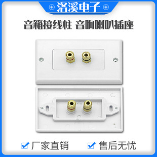 Factory Direct Supply Speaker Binding Post Audio Speaker Socket Double Hole ABS Flame Retardant Thickeneding Corrosion Resistant Luoxi Wholesale