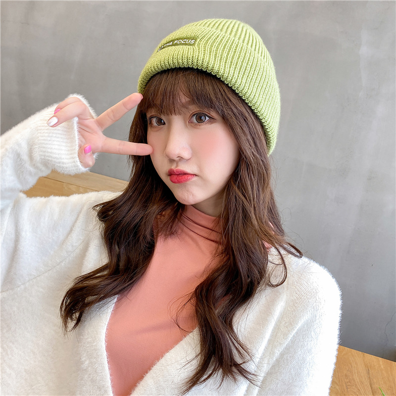 Korean Solid Color Knitted Wool Embroidery Fashion Warm Hat display picture 1