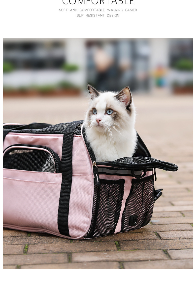 Cat Carrier Interior