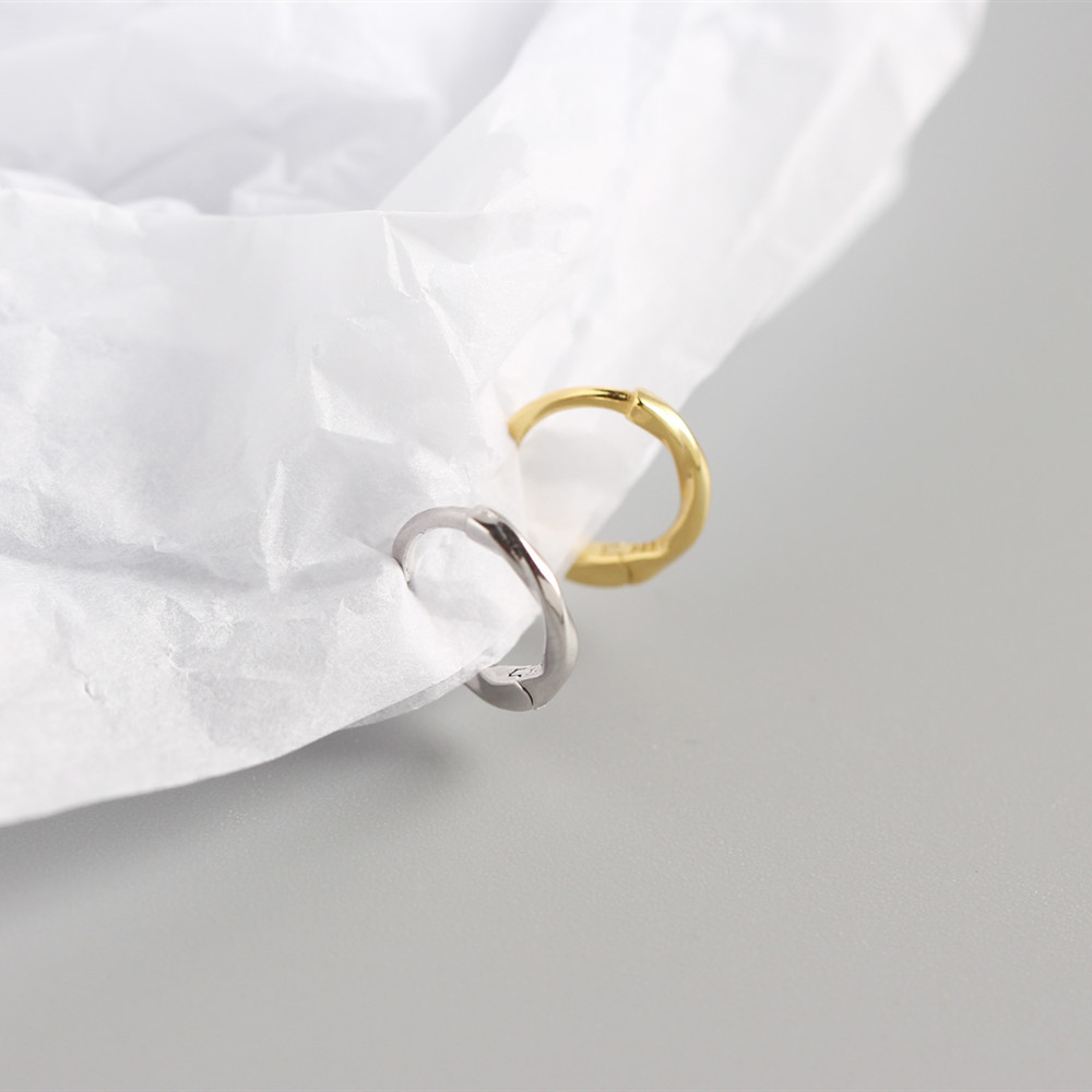 Geometric Casual Simple Style Classic Style 925 Sterling Silver No Inlaid Plating Earrings display picture 4