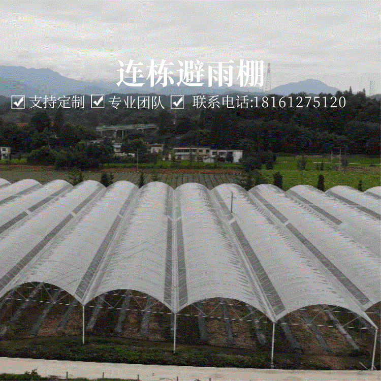 避雨棚批发塑料薄膜连栋避雨大棚 四川温室大棚 葡萄猕猴桃避雨棚