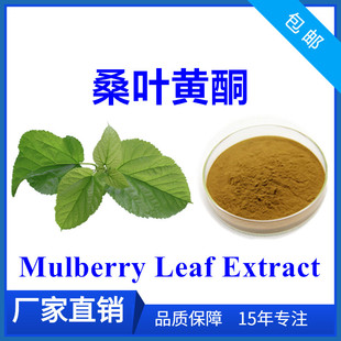 桑叶黄酮30% 桑叶提取物 Mulberry leaf flavonoids 1kg包邮家桑-阿里巴巴