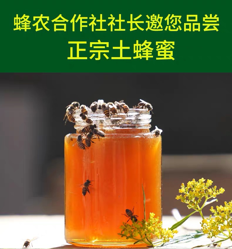土蜂蜜500g蜂蜜蜂巢蜜百花蜜源头厂家散装蜂蜜批发ome加工百花蜜|ru