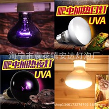 ����ӟ�� ���x�ӟ�� ���x�ӟ�ҹ�� �t�⾀�ӟ��
