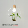 Plant lamp for living room, Scandinavian creative modern and minimalistic bar lights, ceiling lamp