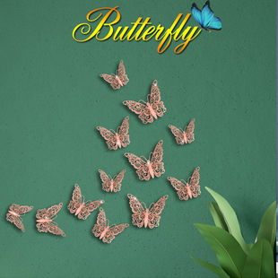 HB012�����|��3D�U�շ������ ��c�Ɍ��̈��Ҿ��b��y�������N