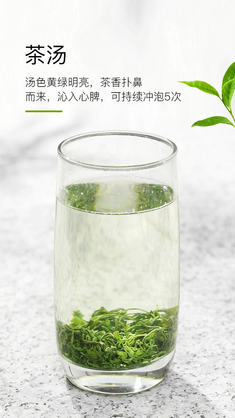 蒙顶绿茶(毛峰头茶)_04