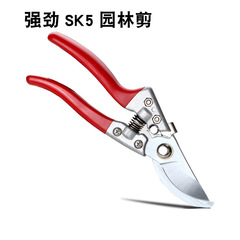 滑輪省力果枝剪 園林園藝剪 樹枝修枝剪刀 SK-5剛粗枝剪