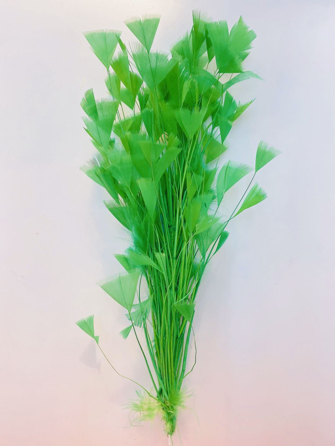 e8c0da1db2cf7c69ea92d11f1ff6f9