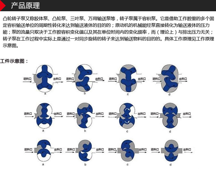 百力仕转子泵新 (3)
