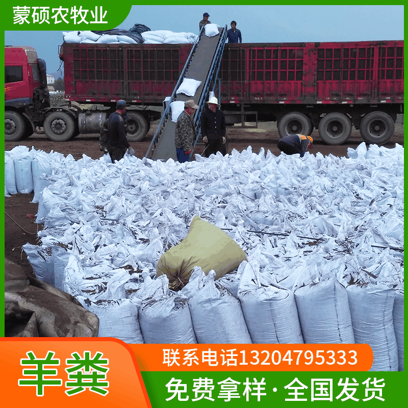 内蒙古羊粪有机肥菜地果园用 羊粪肥发酵 生物菌发酵羊粪肥料