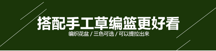 仿真树植物大型旅人蕉盆景室内家居装饰摆件天堂鸟假树绿植盆栽详情33