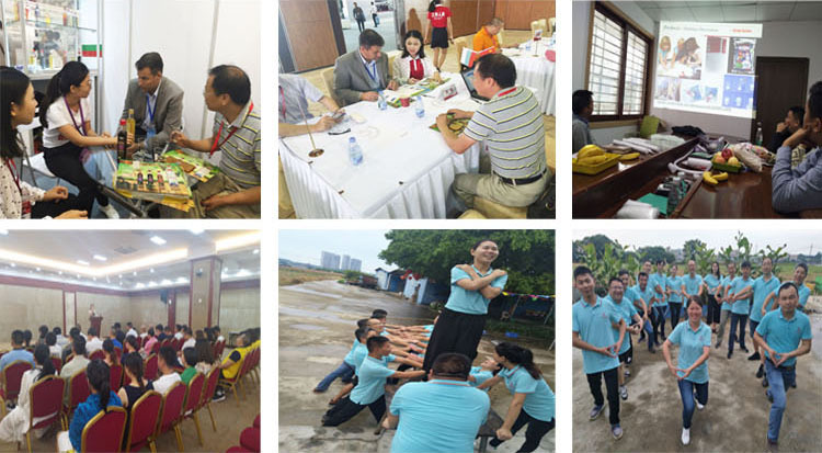 详情页-展会培训活动副本