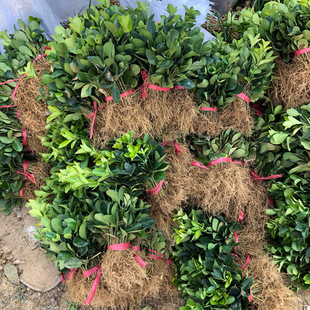 �������l���~�S��С�綬��С���߅�S������S�����ͥԺ�G�h