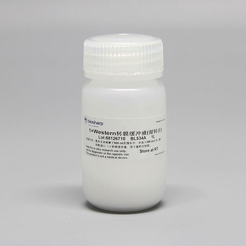 biosharp BL534A Western转膜液  1L