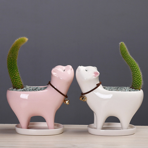Supply cross-border gardening Amazon cat tail succulent cactus ceramic flowerpot cartoon cute personalized ornaments
