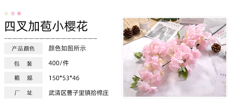 四叉加苞小樱花_02.jpg