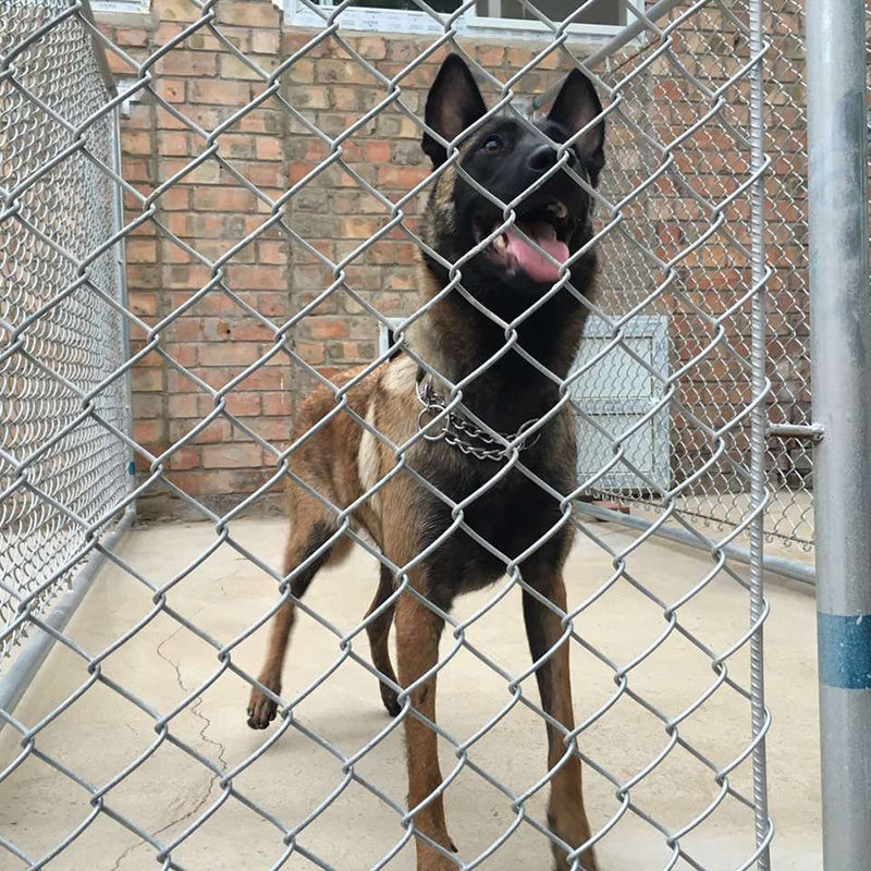 勾花网 双扭铁丝网 镀锌钢丝网 菱形网围栏 钢丝围栏网