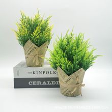 �҃ȾGֲ�����辰��������ɾGֲ�������ϼٻ��辰�Ҿ��b�С�[��