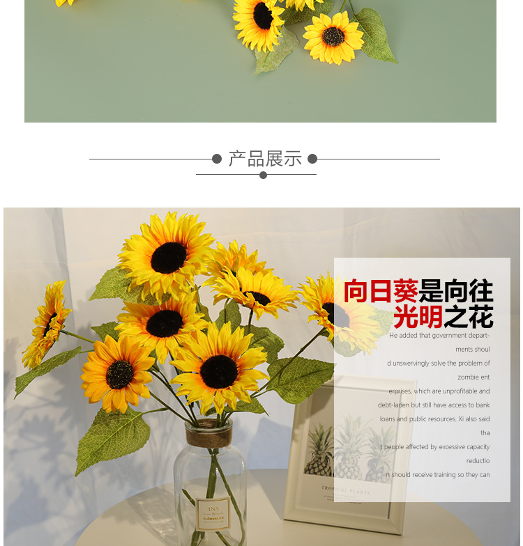 55fd6101006190dec9453fc843eca9