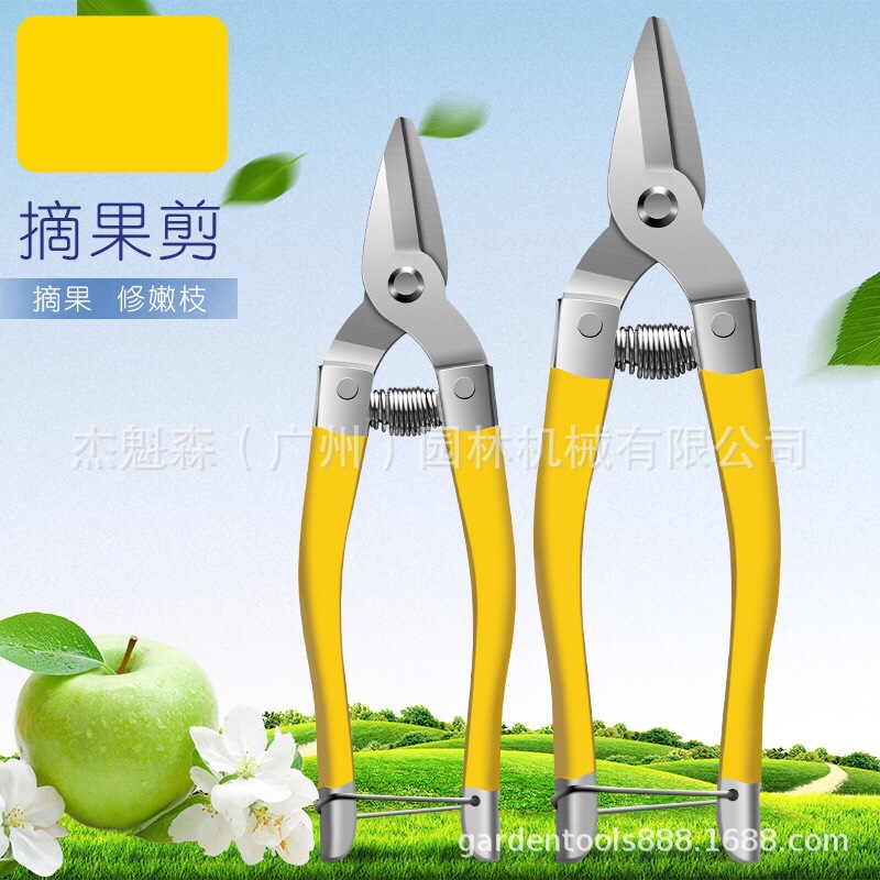 不锈钢果剪采砂糖橘柑葡萄 小黄剪刀摘果剪小大号圆头 果子剪