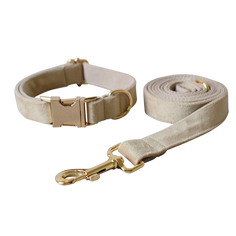 Mint Green Dog Collar Leash