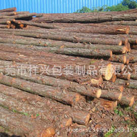 东莞场地 批量出售河道清理护河提4-6米松木桩打桩松木 量大为优