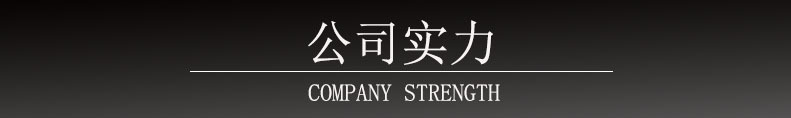 公司实力