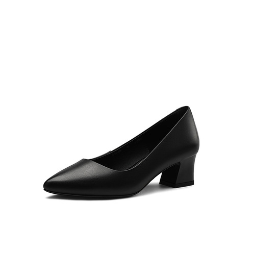Women's Shoes  Spring High Heels with Thick 3-5 cm Pointed Toe Single Shoes for Women, Light Mouth Thick Heel Women's Professional Single Shoes