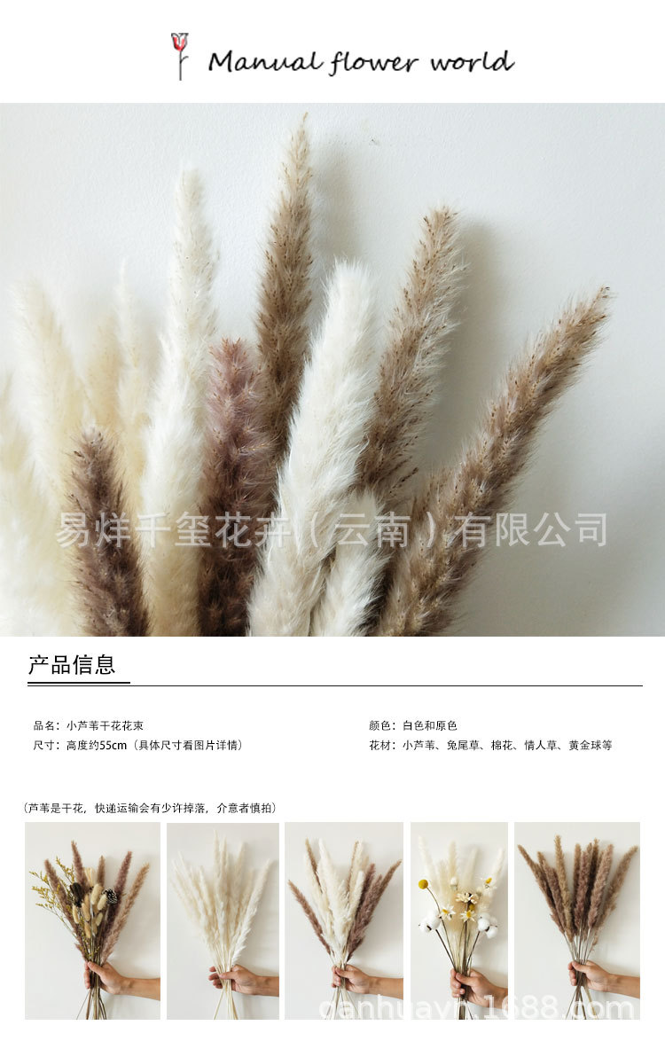 O1CN01M4BHNW29RMSzIW0jO_!!7710