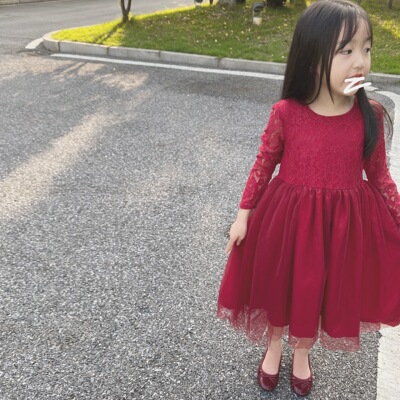 2021 spring and autumn new pattern Children's clothing girl Lace Dress Dress skirt Western style David princess skirt On behalf of