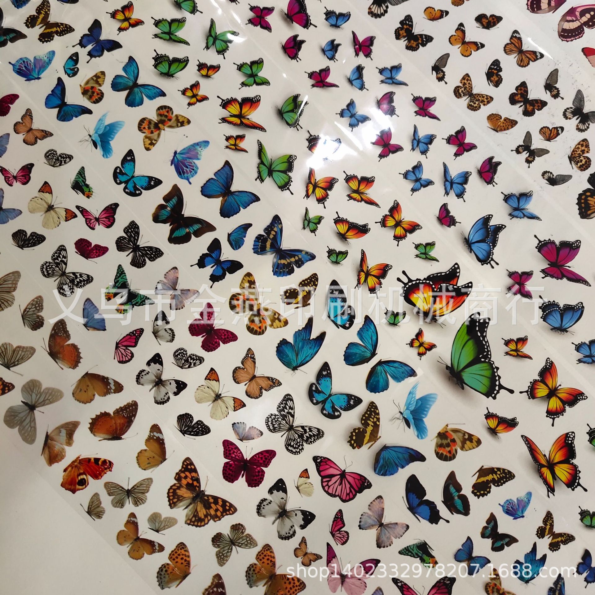 8102#经典蝴蝶十款 (21).jpg