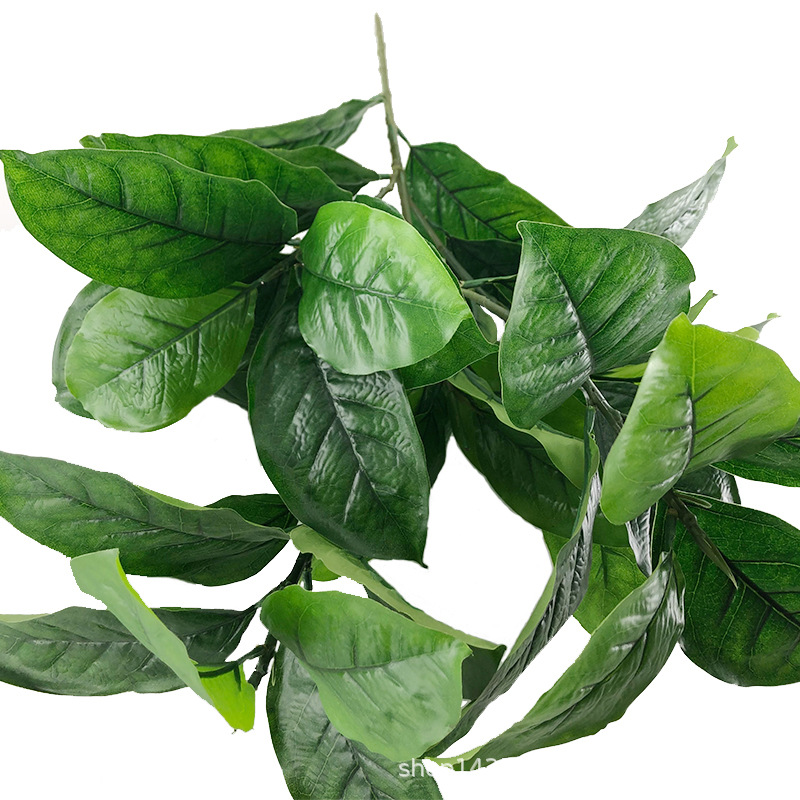 XRB-009 春色高榕叶五叉枝1.jpg