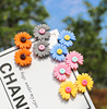 Summer hairgrip, brand bangs, hairpins, hair accessory, flowered