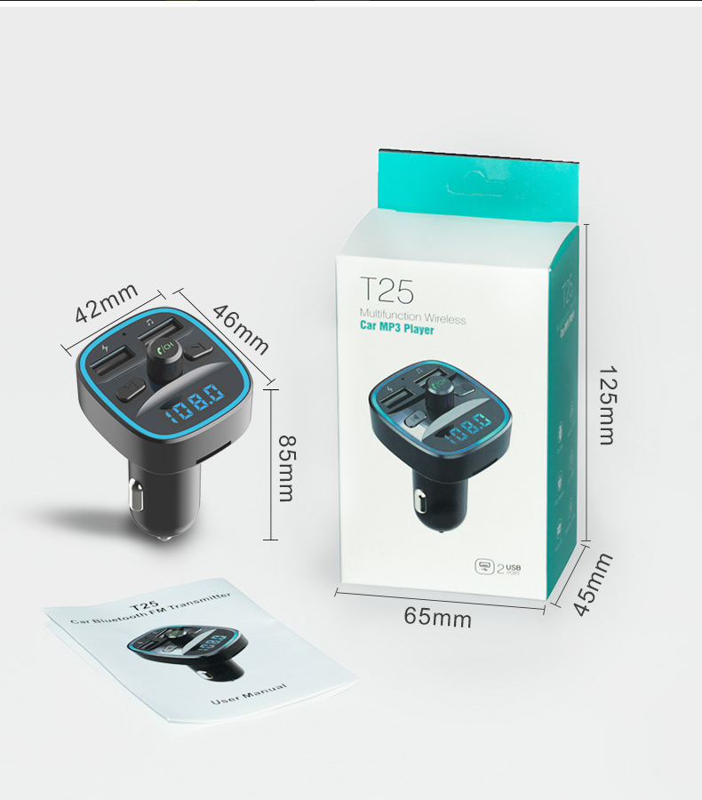 T25_08
