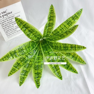 12�^����ľ�S�F���~�ӟᎧ����ֲ�ﻢƤ�m ֲ���������m