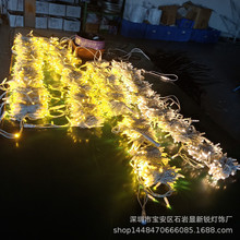 优质户外防水耐寒灯串10米100灯低压24V灌胶泡壳灯IP65星星绕树灯