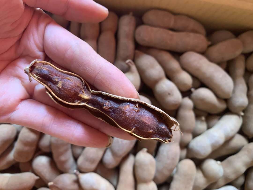 泰，国，酸甜角  酸甜可口  豆子般的水果  播