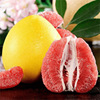 Guangxi Red Pomelo fresh 10 Large fruit Mild Season Red meat Grapefruit pregnant woman fruit