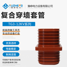 10KV߉ȴ׹ Ùh֬^׹TG3-10Q 110*180