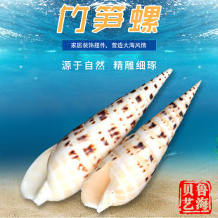 ����12cm-16cm�ֹ�����ؐ���~��ˮ�����쾰�Ҿӕr�Д[����S��
