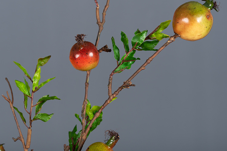 经典5头石榴 红绿色_06.jpg