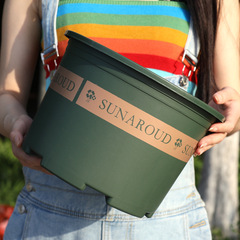 Longshine Galvanized Pot Thickened Resin Short Stumpy Root Controlling Planter Pot for Roses and Clematis Deep Plastic Planter Manufacturer